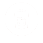css3